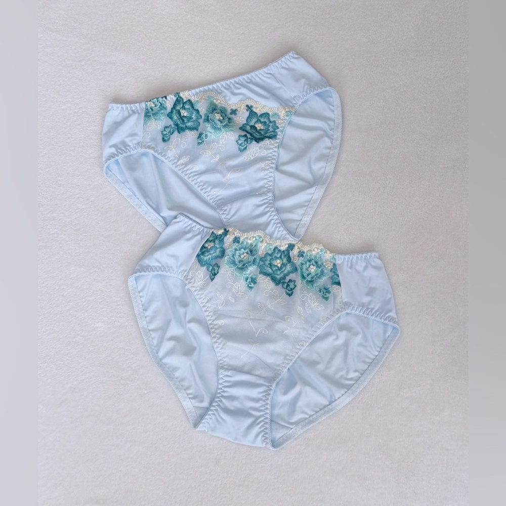 Set Of 2！US-S/JP-L  Japanese VTG Style Classic Floral Embroidery Nylon Panties